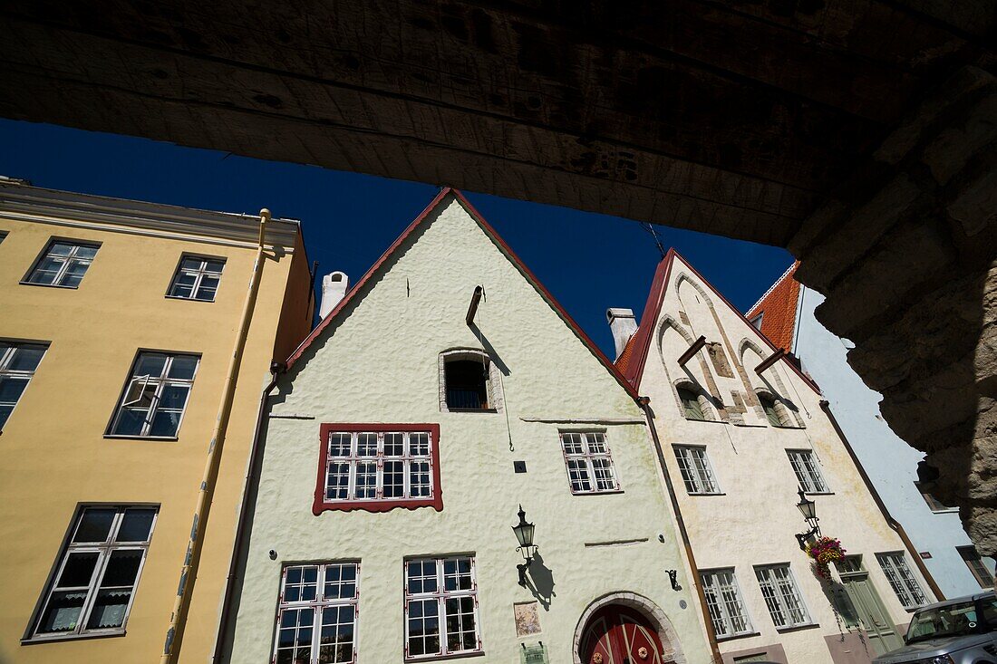 St. Nicholas Pfarrhaus (Niguliste kostrielamu), hellgrünes Mittelgebäude. Altstadt, Tallinn, Estland, Baltikum.