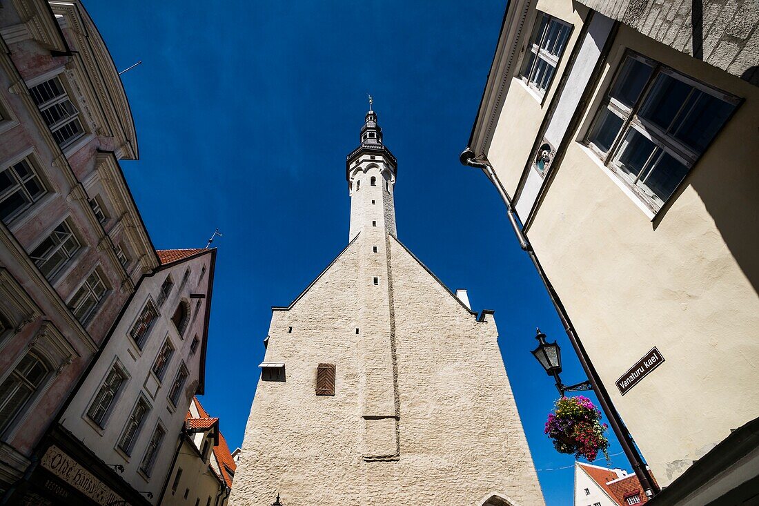Tallinn Town Hall tower and spire. Tallinn Town Hall (Tallinna raekoda). Old Town,Tallinn,Estonia,Baltic States.