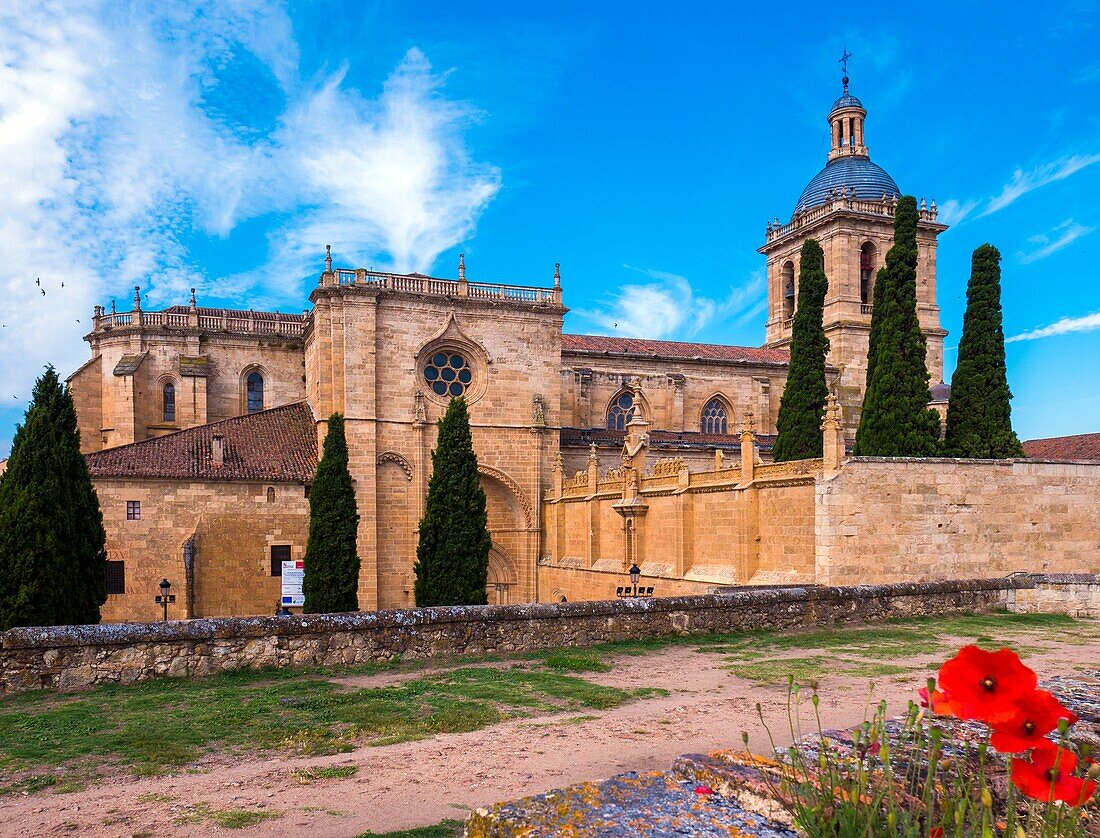 Catedral de Santa Maria. Ciudad Rodrigo. Salamanca. Castilla Leon. Espana.