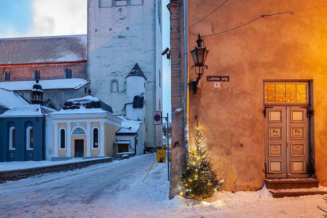 Morgendämmerung in der Altstadt von Tallinn, Estland.