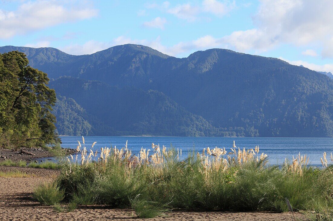 Chile, Lake District, Petrohue, Lago Todos Los Santos.