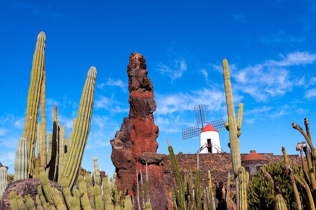 Das Kakteengartenprojekt von Cesar Manrique. Guatiza, Lanzarote. Spagna.