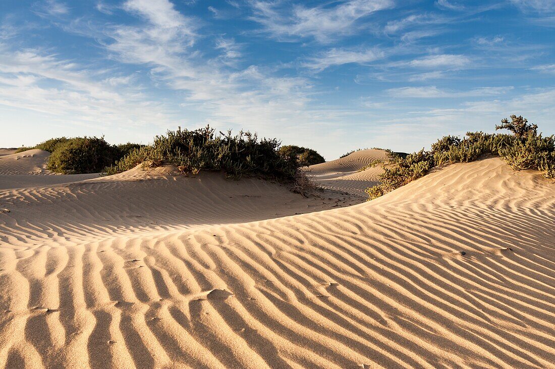 Features sand dunes of the bay. Famara,Lanzarote. Spain.