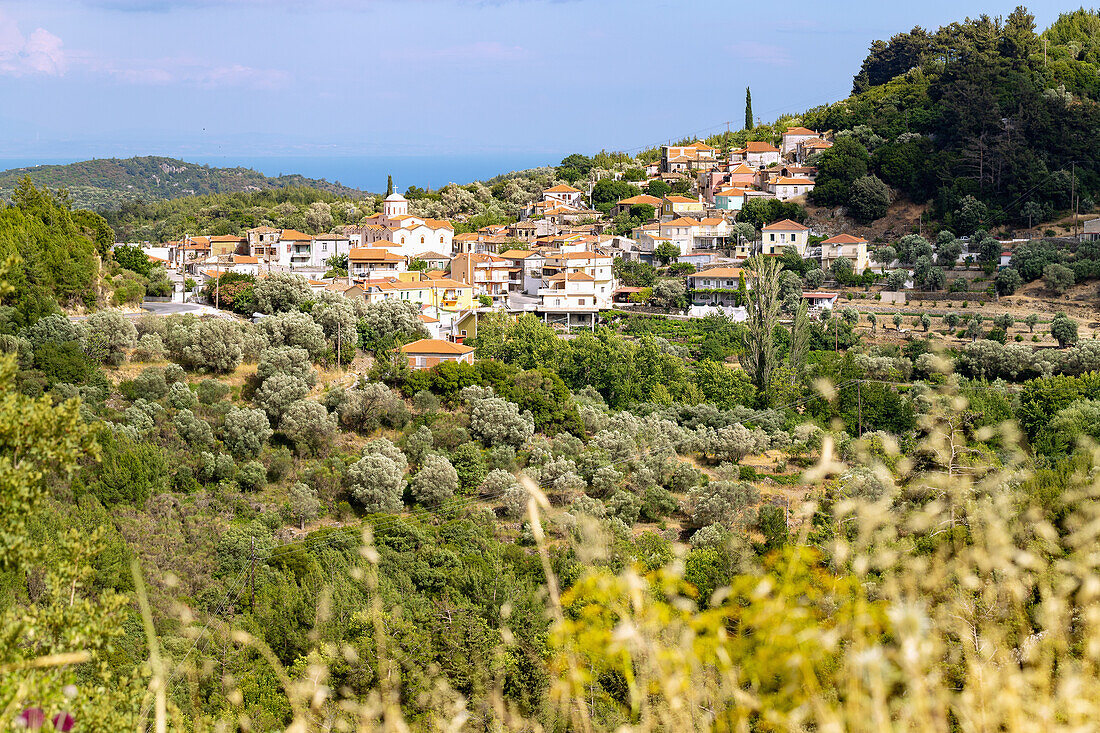 Mountainous village of Komeika and olive growing on the southwest coast of Samos island in Greece