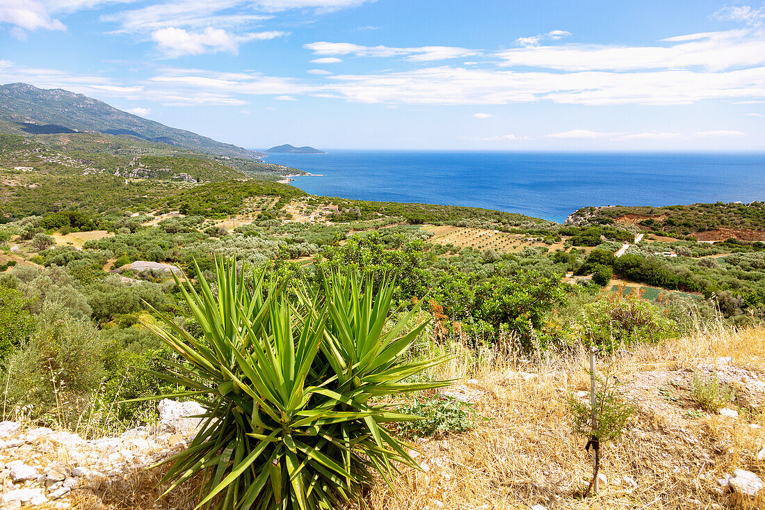 Aussichtspunkt bei Pirgos mit Blick auf die Küstenlandschaft und auf die Insel Samiopoula, Insel Samos in Griechenland