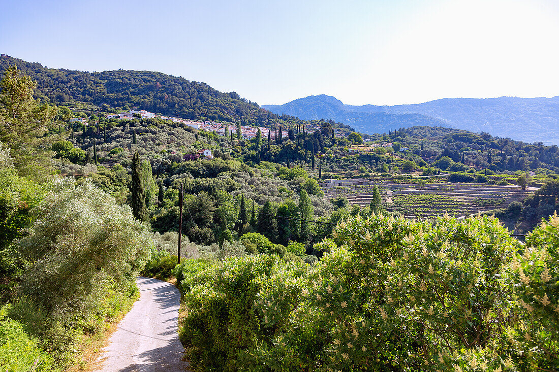 Vourliotes, Bergdorf und Bergstraße im Norden der Insel Samos in Griechenland