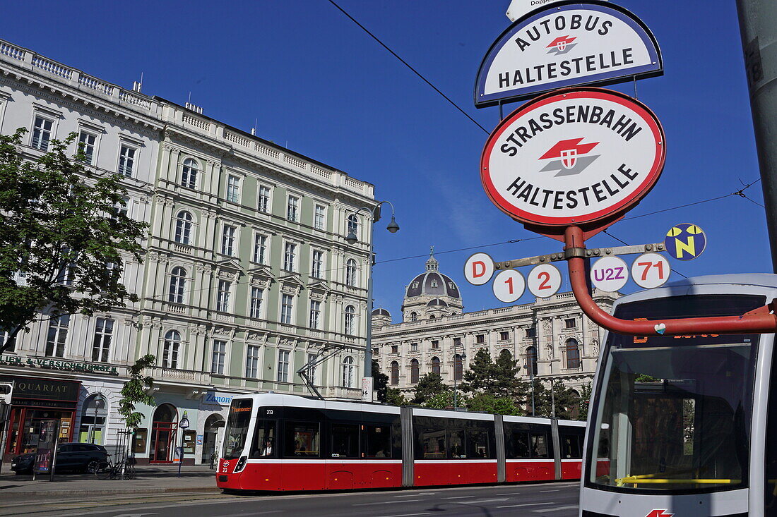 Haltestelle und Tram D am Burgring, im Hintergrund das Naturhistorische Museum, Wien, Österreich