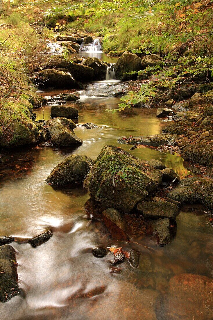 Bach im Barranco de Las Rameras der Sierra Cebollera. La Rioja, Spanien