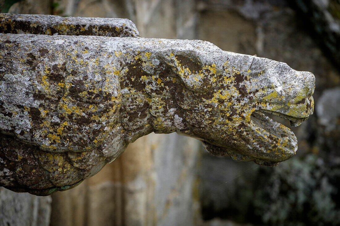 Kreuzgang, erbaut zwischen 1317 und 1340, gotischer Stil, Kathedrale von Evora, Basilica Se Catedral de Nossa Senhora da Assuncão, Evora, Alentejo, Portugal.