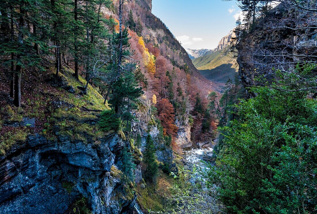 Fluss Arazas im Nationalpark Ordesa. Pyrenäen. Huesca. Aragon. Spanien. Europa.