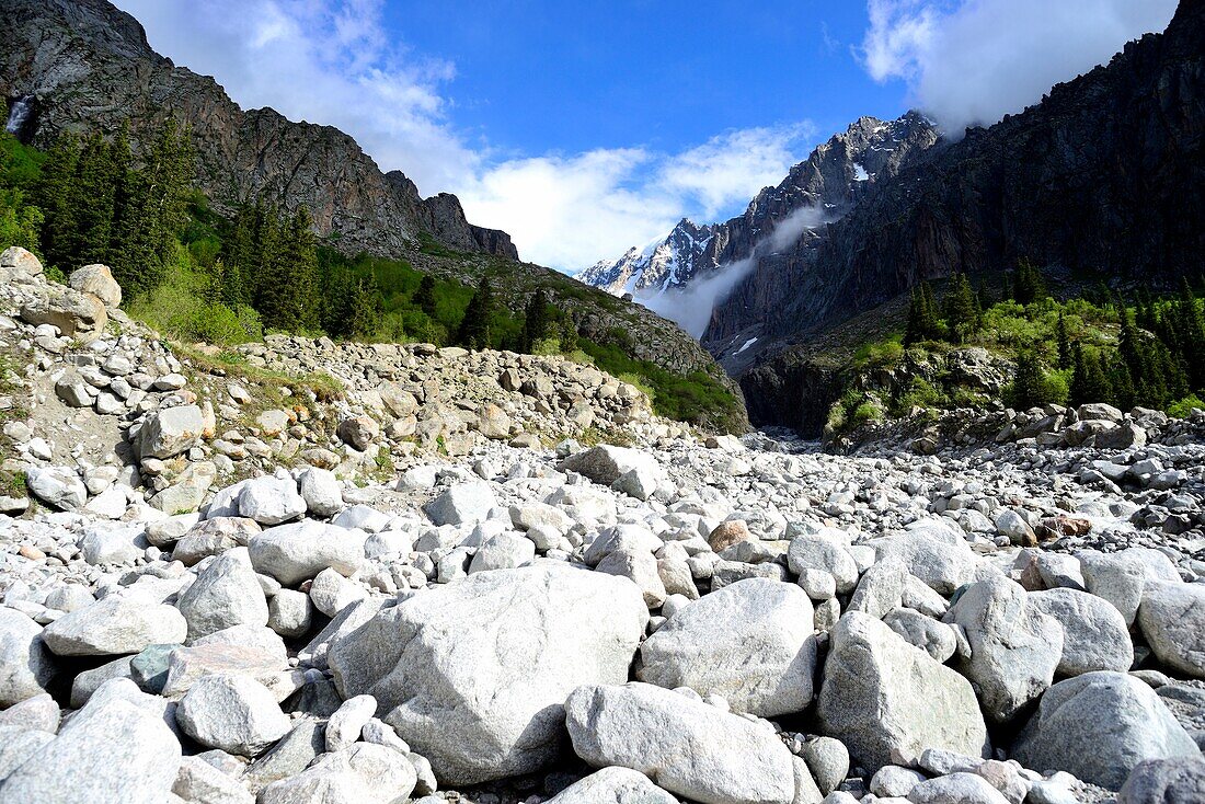 Ak Sai Tal, Ala Archa, Provinz Chui, Kirgisistan.