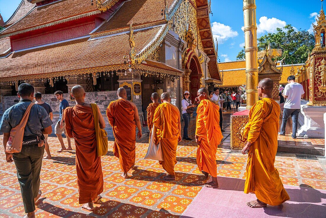 Mönche im Wat Phra That Doi Suthep, Chiang Mai, Thailand.