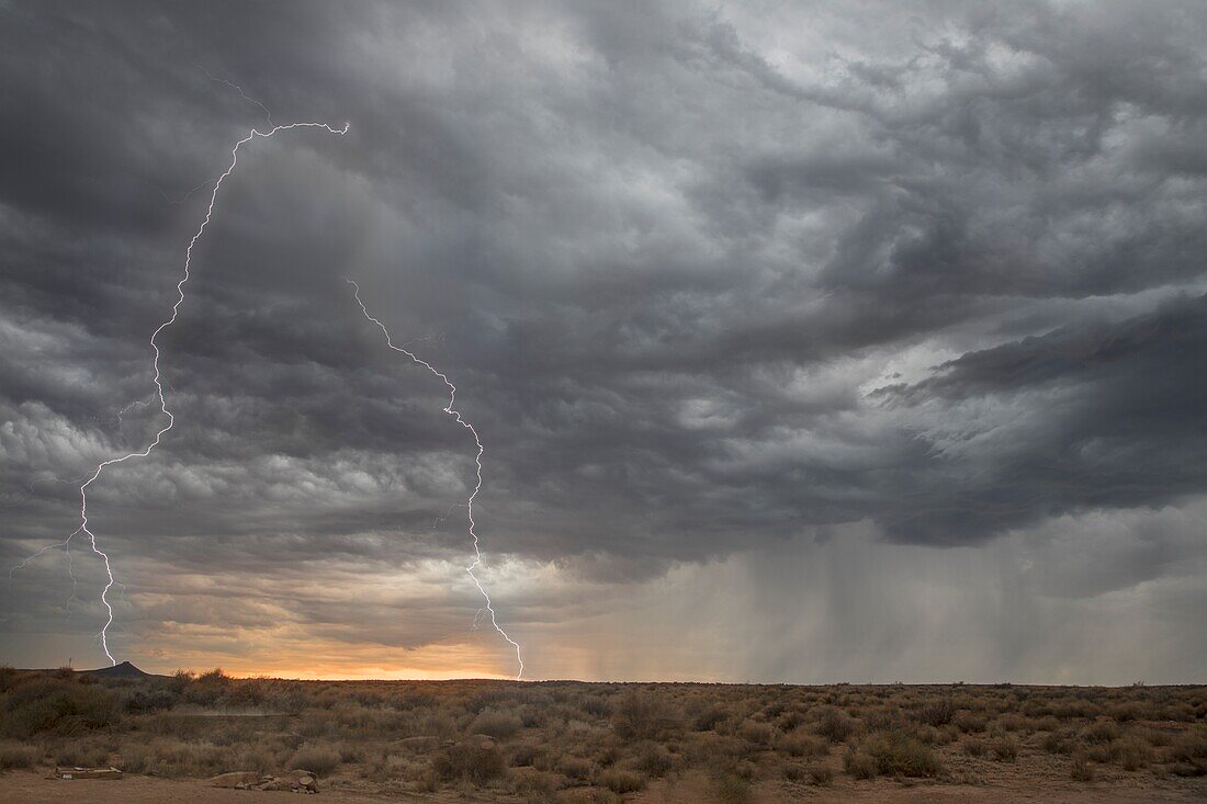 Bolts of lightning permeate the sky durimg a monsoonal storm neat Zion National Park,Utah.