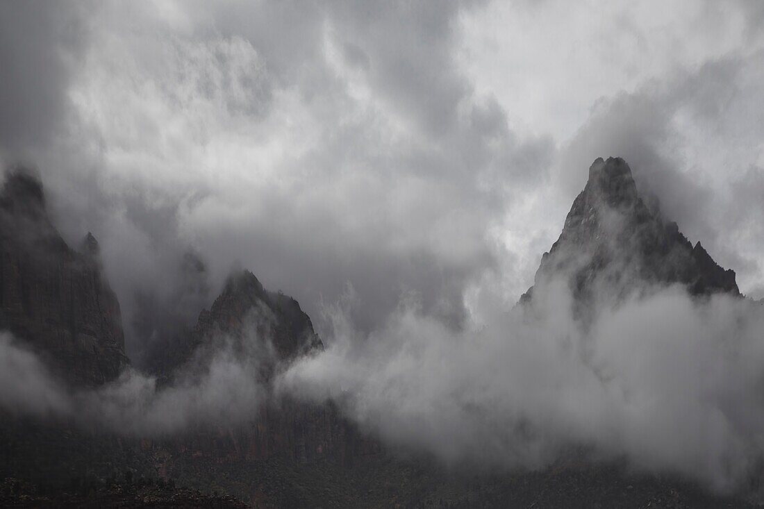 Ein vorbeiziehender Regensturm bringt Wolken und Nebel in den Zion Canyon im Zion National Park, Utah.