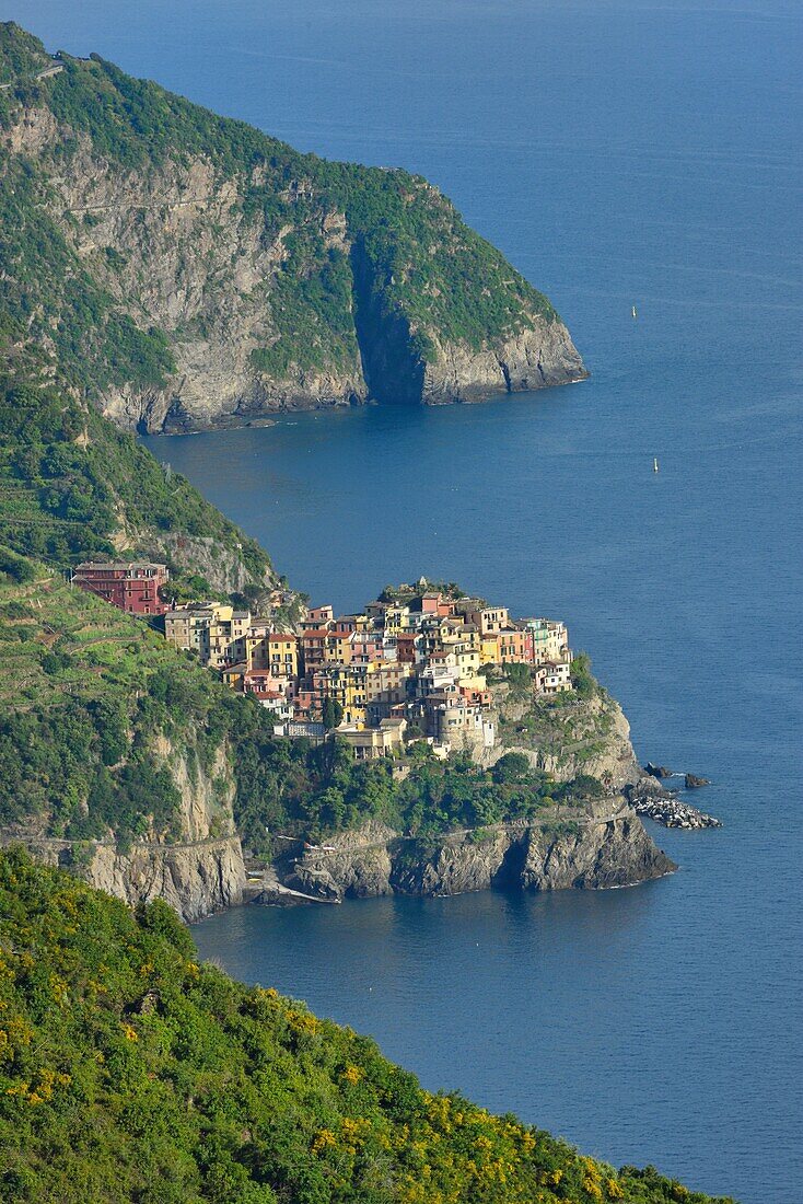 Italien, Ligurien, Nationalpark Cinque Terre, Weltkulturerbe, Manarola von oben.