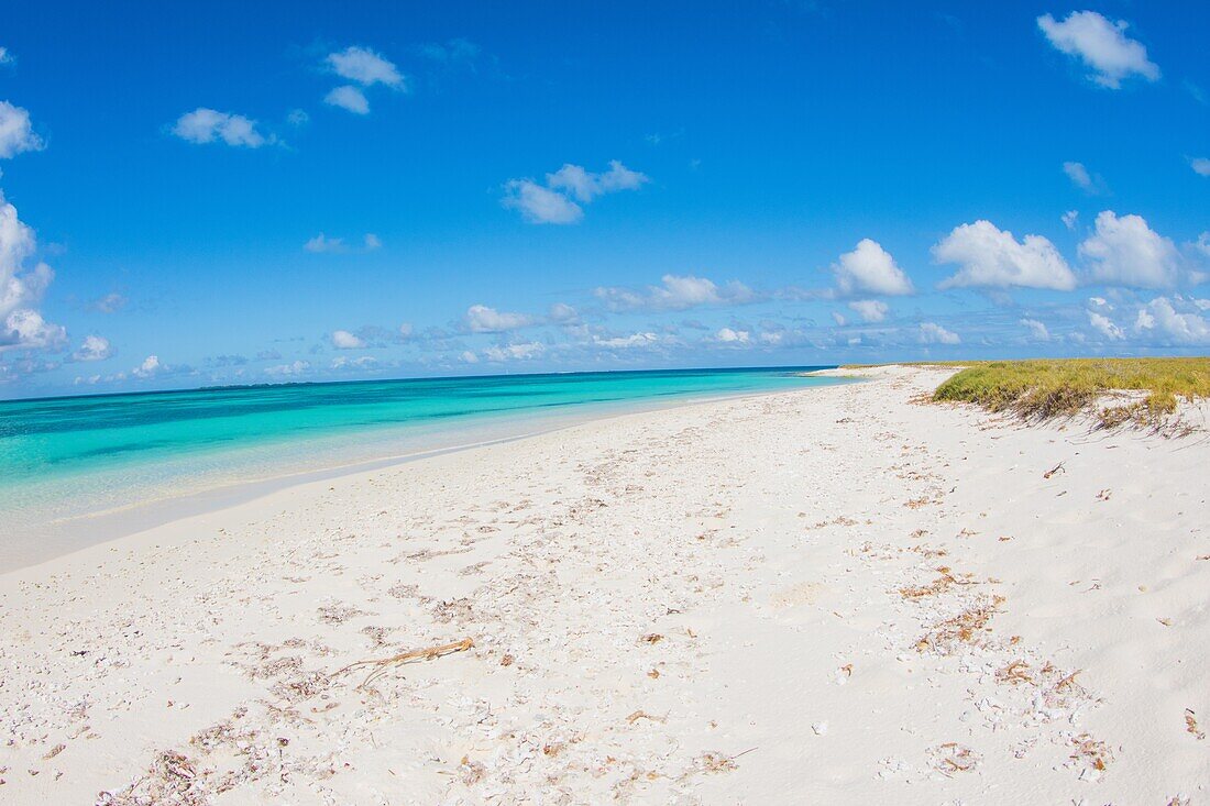 DOS-Mücken-Strandblick-Archipel Los Roques Venezuela, Atoll.