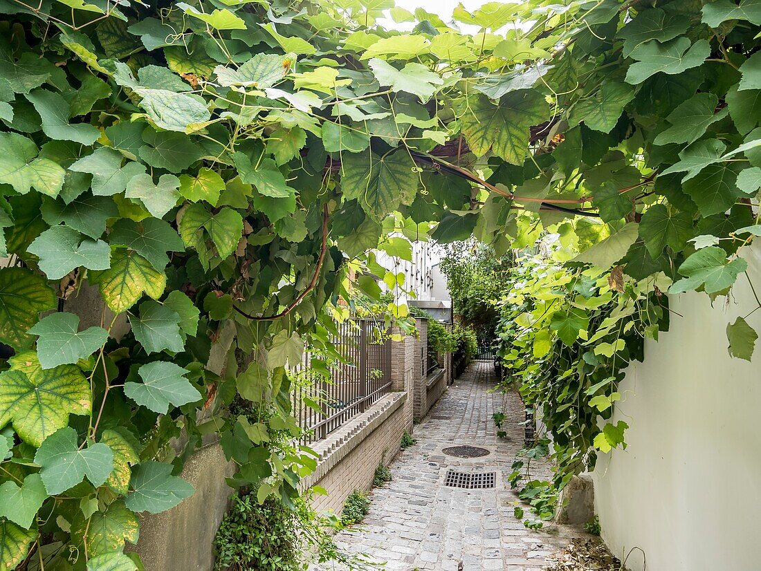 Sackgasse Poule,rue des Vignoles,Paris.