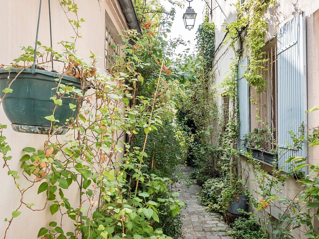 Impasse de Bergame,rue des Vignoles,Paris.