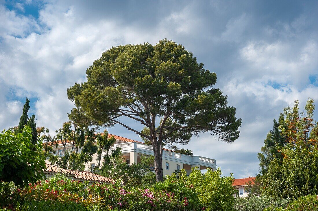 Landscape on the coastal path,Saint-Aygulf,Var,Provence-Alpes-Cote d`Azur,France,Europe.