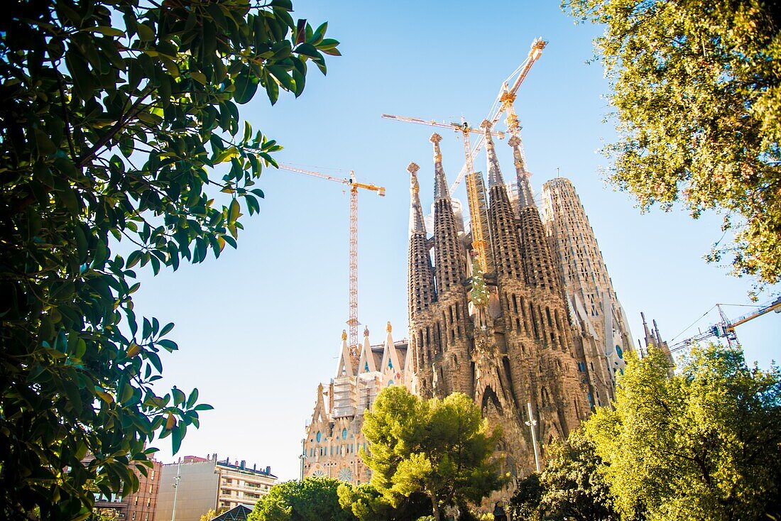 Barcelona, Spanien - 24. November 2018: Bau der Sagrada Familia im Gange. Es ist Teil des UNESCO-Weltkulturerbes von einem Künstler Antoni Gaudi.