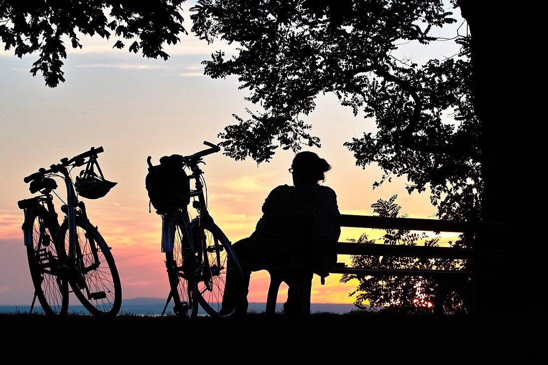 Fahrräder bei Sonnenuntergang, Bodensee, Bayern, Deutschland