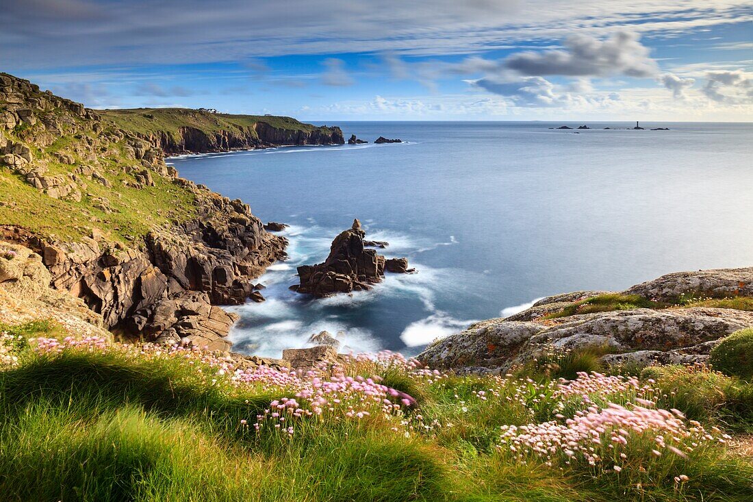 Meeressparsamkeit auf Mayon Cliff, in der Nähe von Sennen Cove in Cornwall, aufgenommen Mitte Mai mit Land's End und dem Longship Lighthouse in der Ferne.