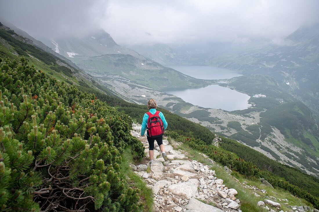 Ein Wanderer geht auf einem Wanderweg im polnischen Tal der fünf Seen im Tatra-Nationalpark, Woiwodschaft Kleinpolen, Polen.
