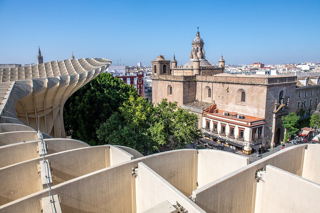 Metropol Parasol ist eine Holzkonstruktion am Platz La Encarnacion in der Altstadt von Sevilla, Spanien.