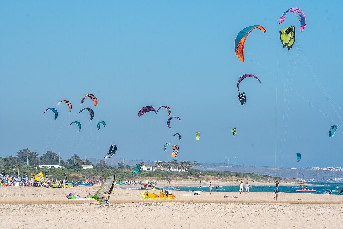 Kites Flying High Above the Shoreline of Tarifa,Cadiz,Andalusia,Spain.