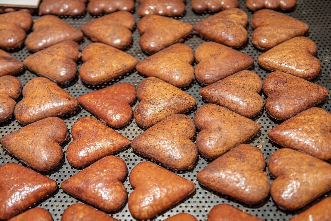 Heart shaped gingerbread lays in rows after being baked. ToruŠ„,Kuyavian-Pomeranian Voivodeship,Poland.