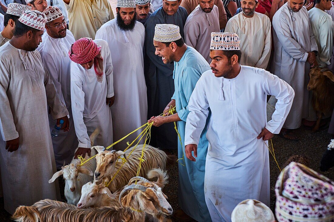 Sultanat Oman, Region Ad-Dakhiliyah, Nizwa, freitags Viehmarkt.