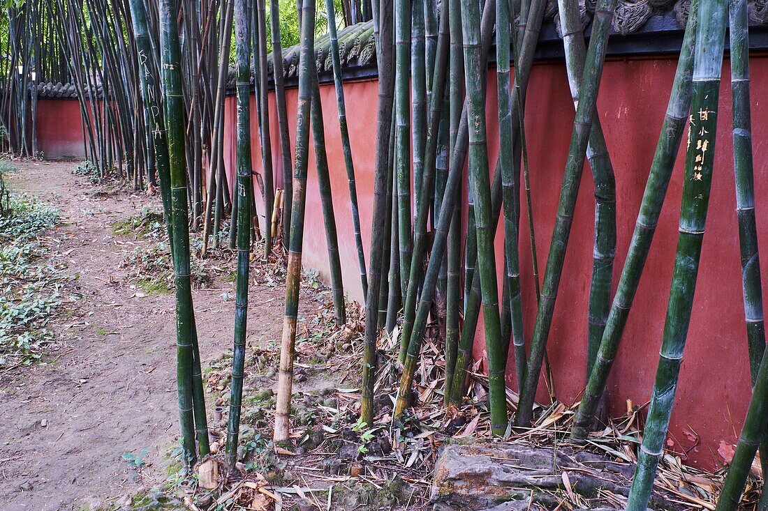 China,Sichuan province,Chengdu,Wuhou Temple.