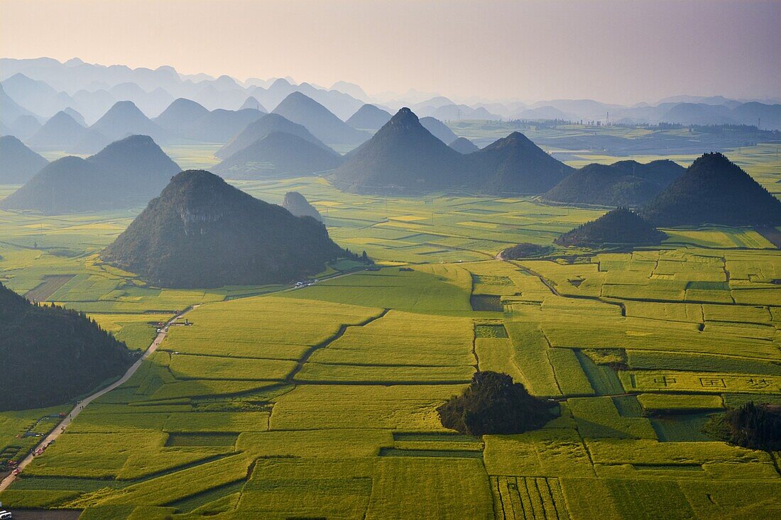 China, Yunnan, Luoping, blühende Rapsfelder.