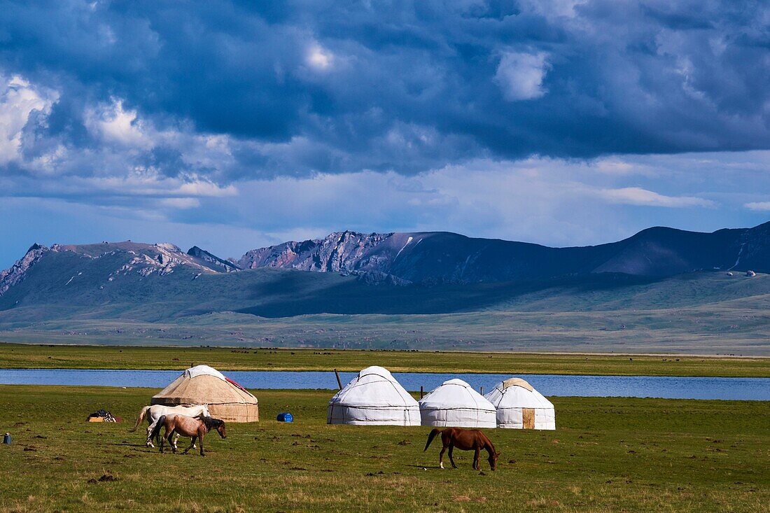 Kirgisistan, Provinz Naryn, See Song Kol, Jurtenlager der kirgisischen Nomaden.