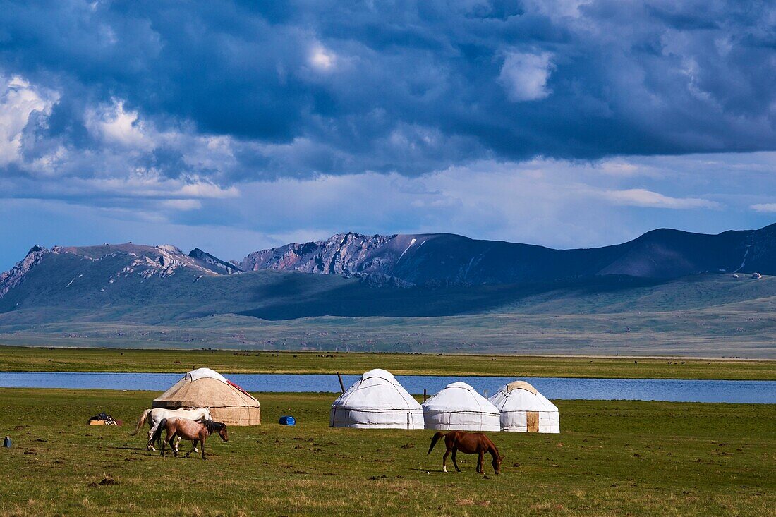 Kyrgyzstan,Naryn province,Song Kol lake,Kirghiz nomad's yurt camp.