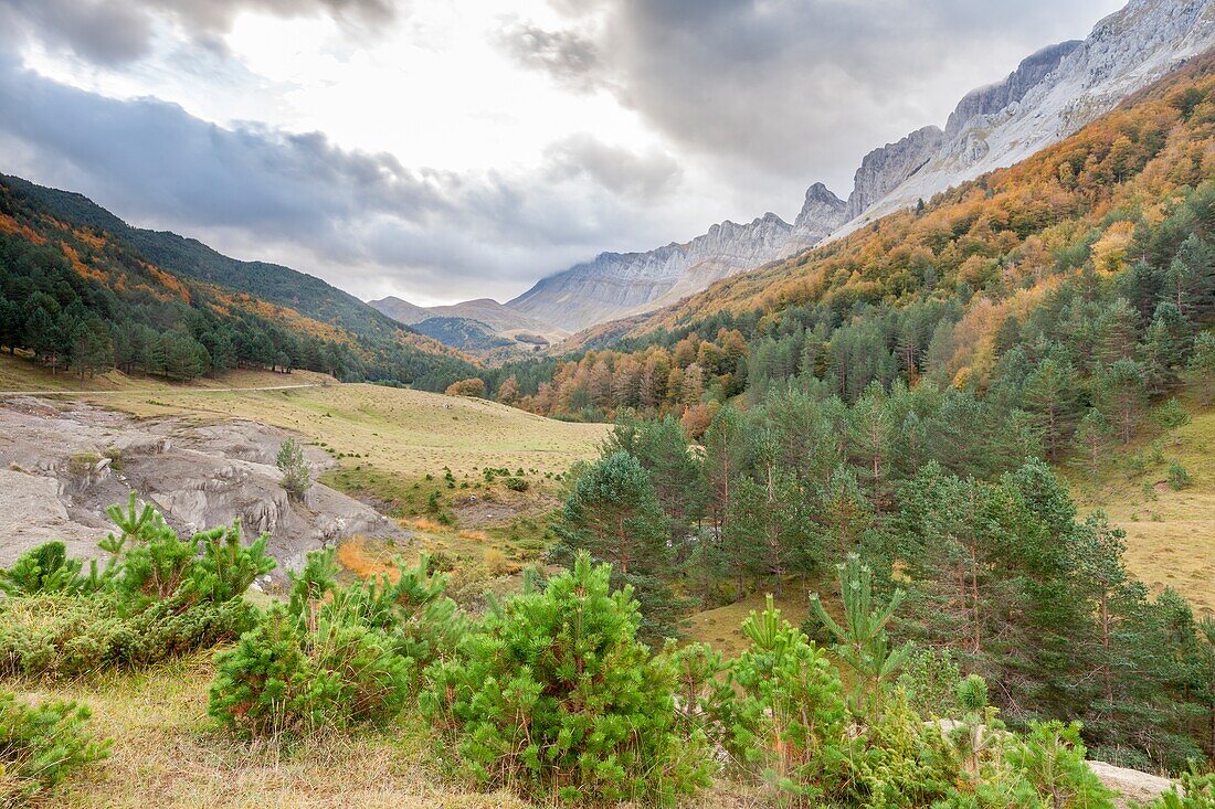 Zuriza Valley,Huesca,Spain.