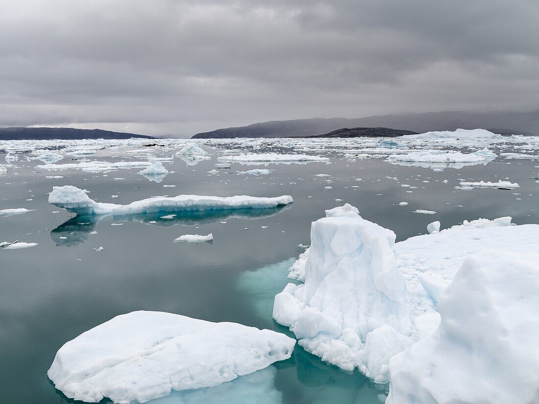 Icebergs in the Disko Bay,Greenland,Denmark,August.