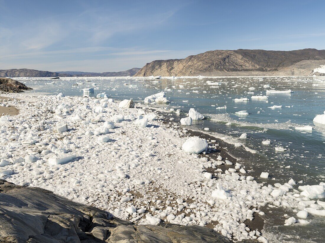 Küstenlinie übersät mit Eisbergen vom Eqip-Gletscher (Eqip Sermia oder Eqi-Gletscher) in Grönland. Polarregionen, Dänemark, August.