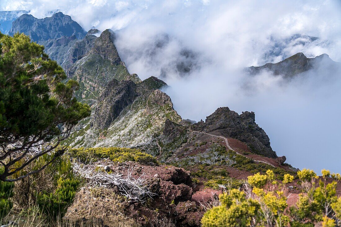 Wanderweg im zentralen Gebirge zwischen Madeiras höchsten Gipfeln Pico Arieiro und Pico Ruivo, Madeira, Portugal, Europa.