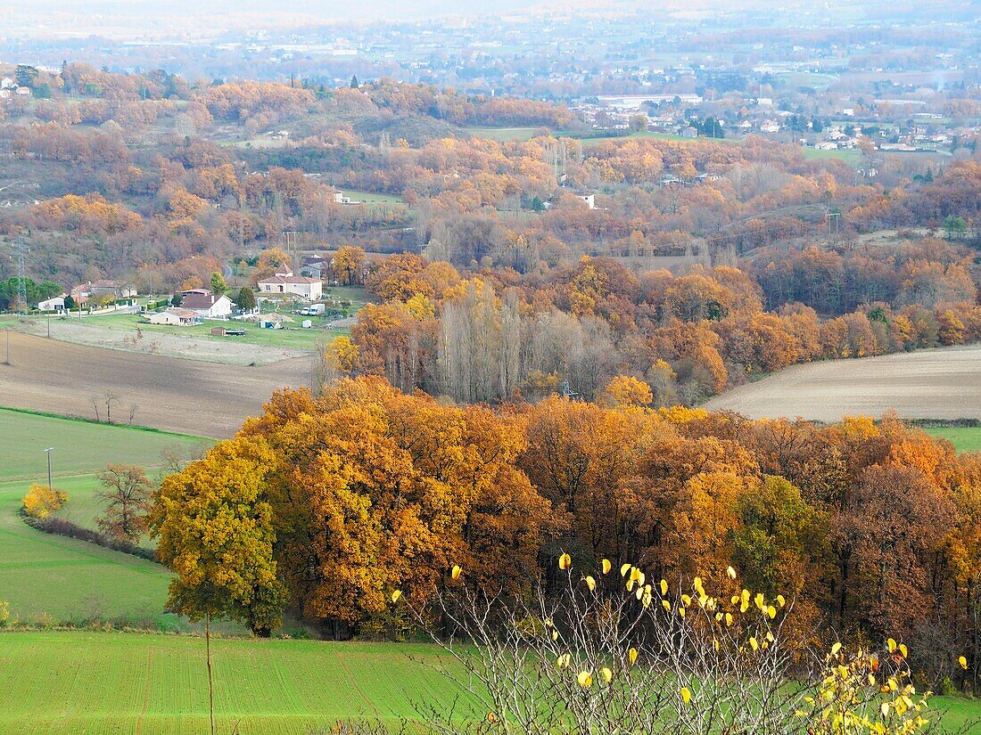 Blick auf die Landschaft von Monsegur, Departement Lot-et-Garonne, Nouvelle Aquitaine, Frankreich.