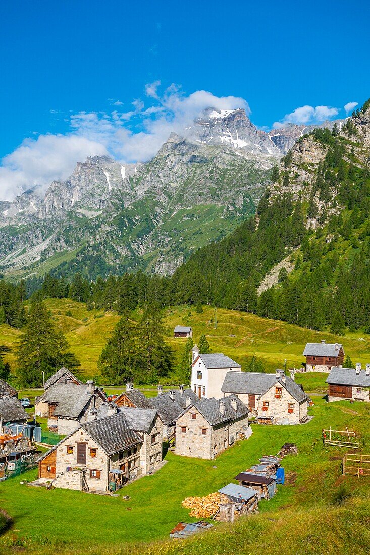 Alpe Crampiolo (Alpe Devero), Parco Naturale Veglia-Devero, Val d'Ossola, V.C.O. (Verbano-Cusio-Ossola), Piedmont, Italy, Europe