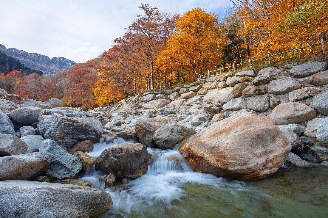 Cervo River, Valle Cervo, Biella, Piedmont, Italy, Europe