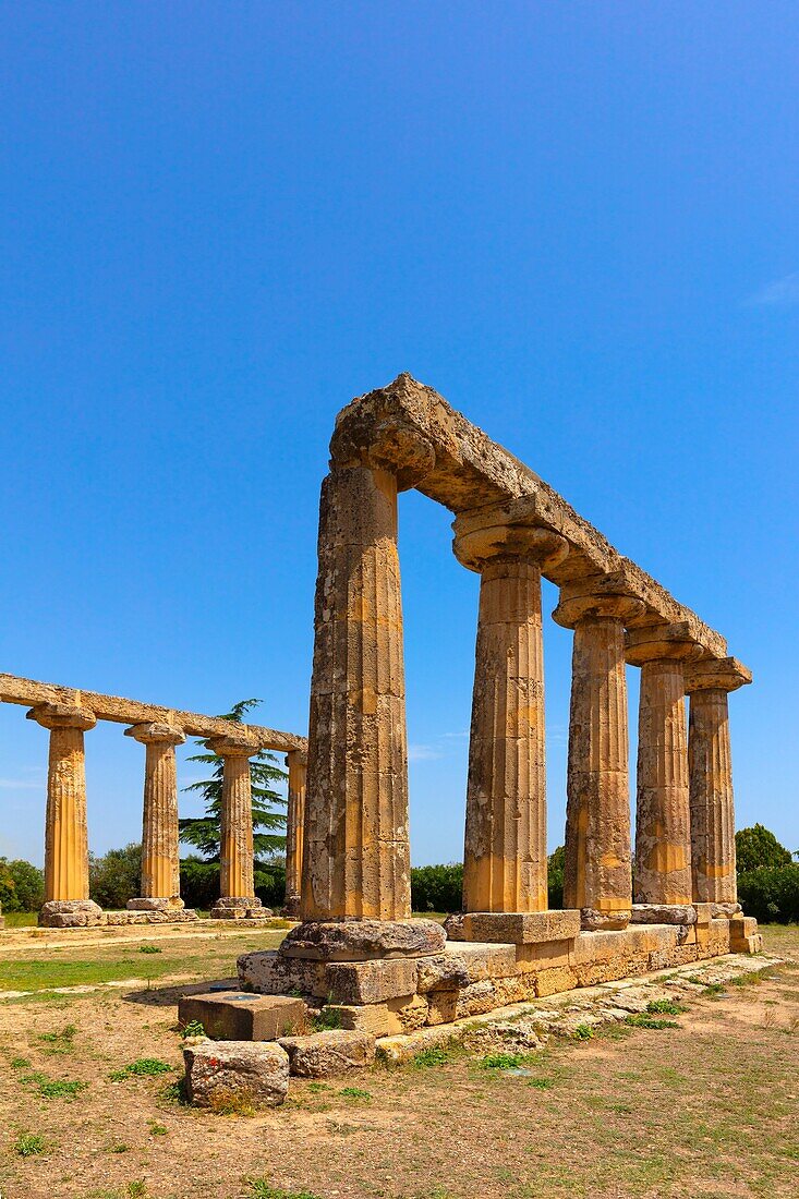 Tempel der Hera (Pfalztafel), Bernalda, Matera, Basilicata, Italien, Europa
