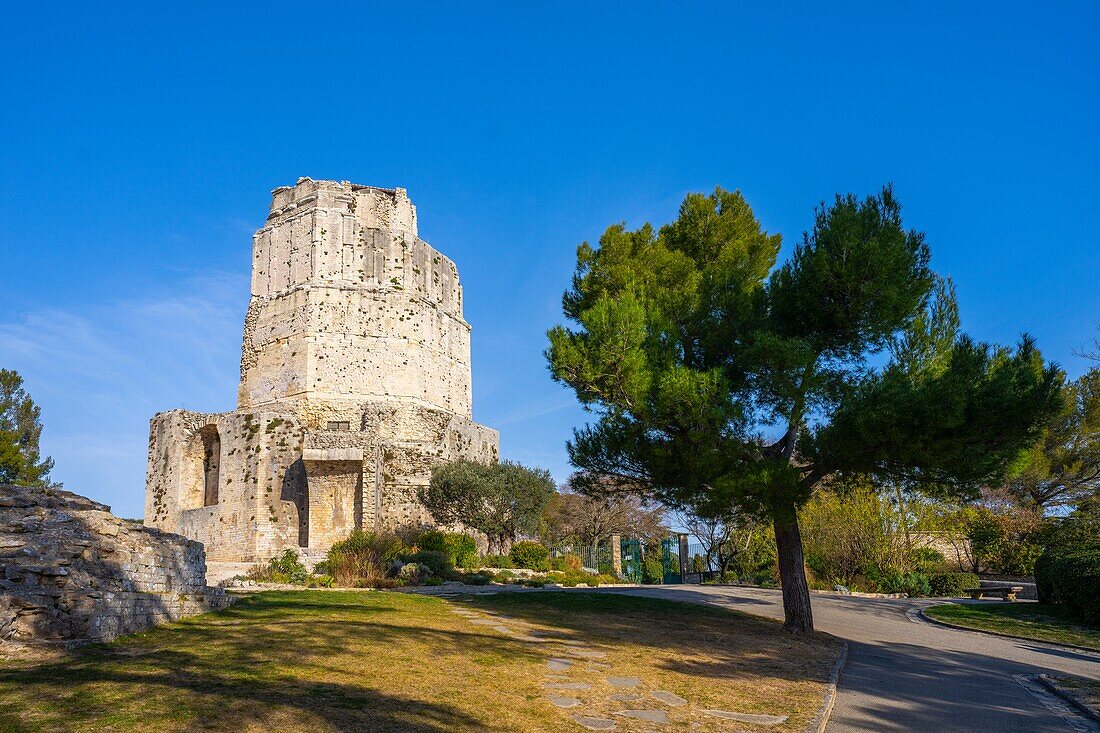 The Magne Tower, Nimes, Gard, Occitania, France, Europe