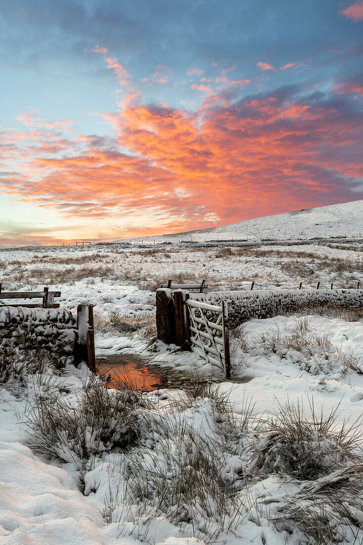 Eine Winterszene bei Wildboarclough, Nationalpark Peak District, Cheshire, England, Vereinigtes Königreich, Europa