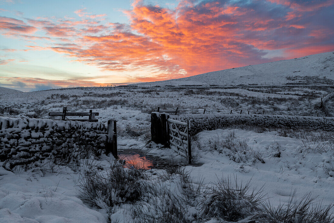 Winter view of snow covered Wildboarclough with amazing sunrise, Wildboarclough, Cheshire, England, United Kingdom, Europe