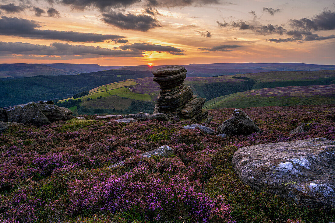 The Salt Cellar rock formation with blanket of heather at sunset, Derbyshire, England, United Kingdom, Europe