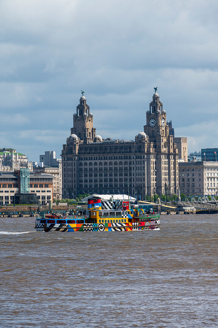 Die Mersey-Fähre vor dem Liver Building, Liverpool, Merseyside, England, Vereinigtes Königreich, Europa