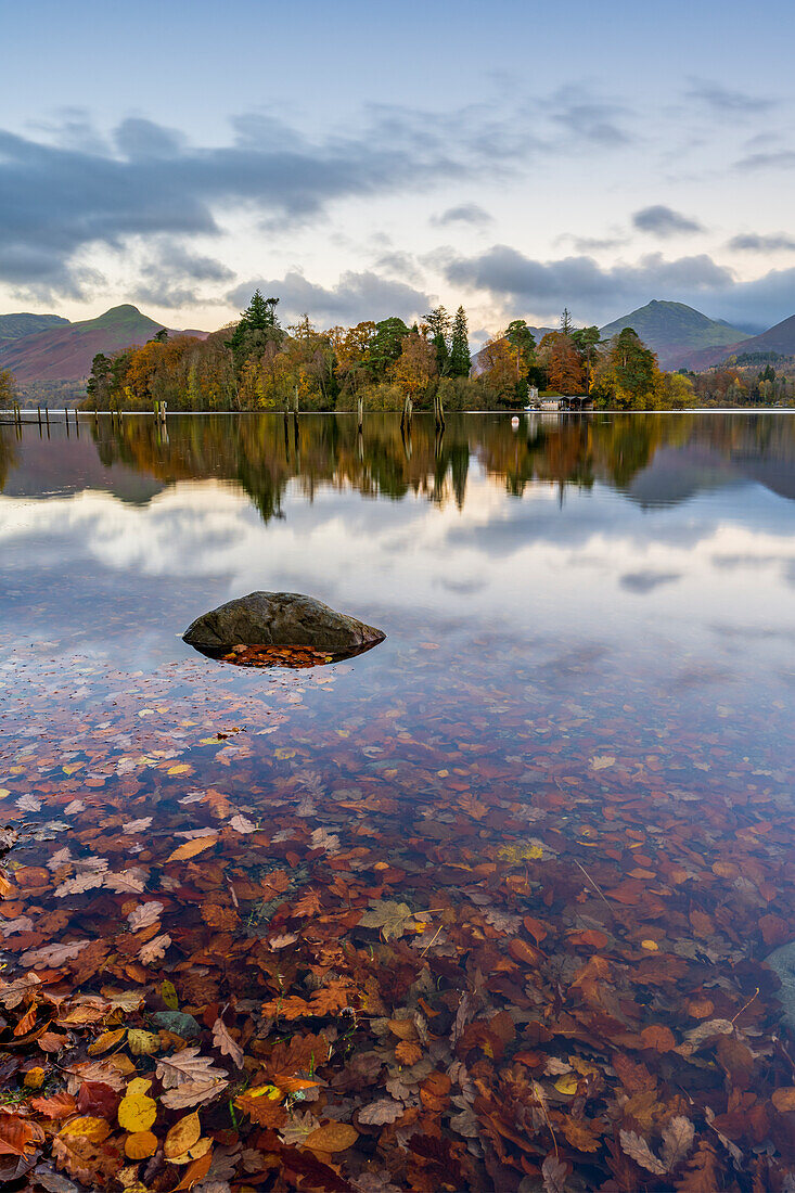 Derwentwater im Herbst, Nationalpark Lake District, UNESCO-Weltkulturerbe, Cumbria, England, Vereinigtes Königreich, Europa