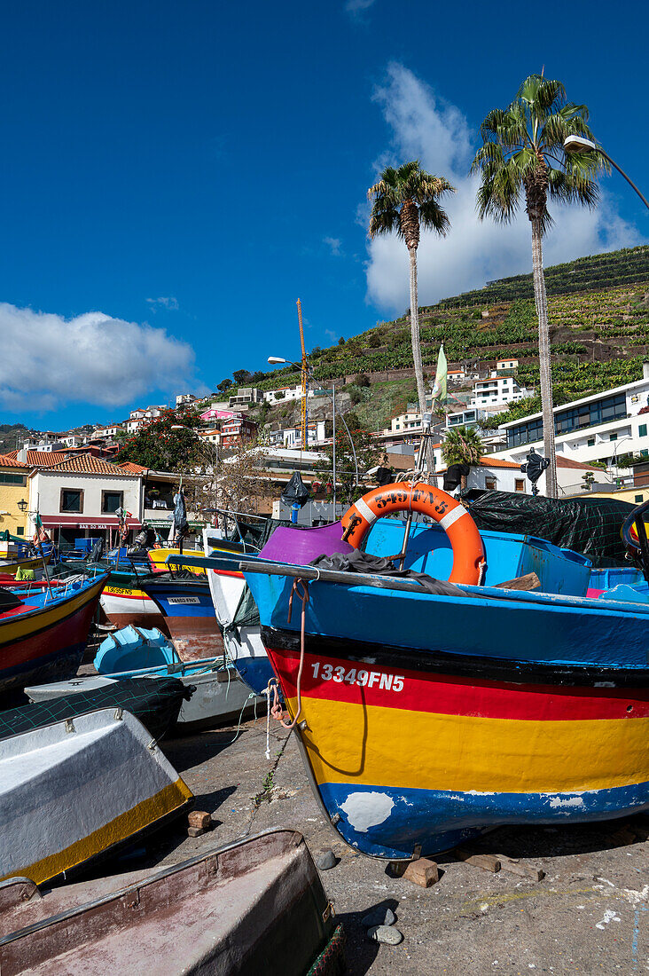 Bunte Fischerboote in Camara de Lobos, Funchal, Madeira, Portugal, Atlantik, Europa